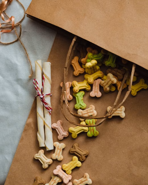 Petiscos e Snacks